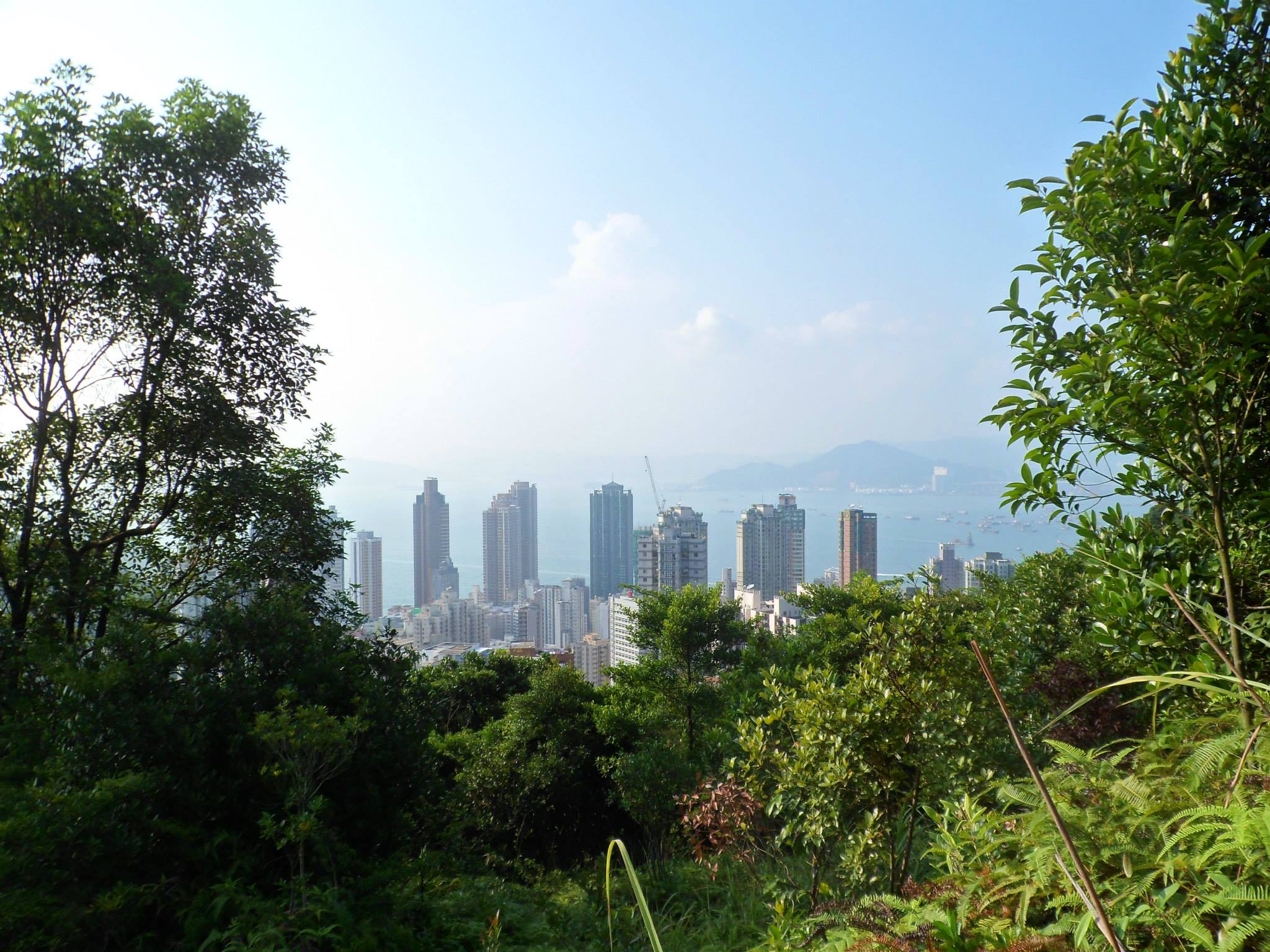 View on a hike to the peak