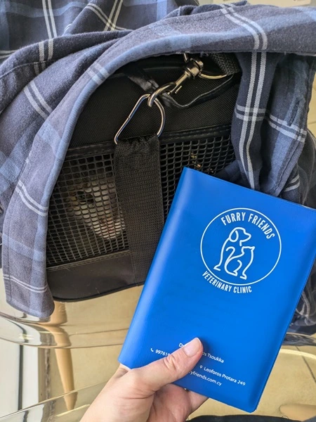 cat with pet passport